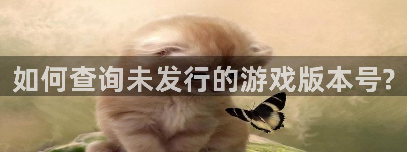 新宝GG官网平台代理条件：如何查询未发行的游戏版本号?