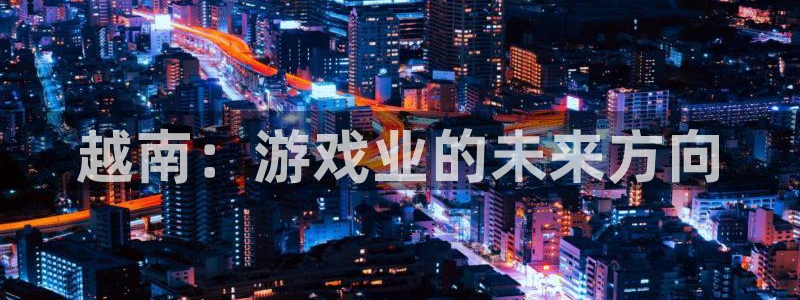 法国新宝GG官网：越南：游戏业的未来方向