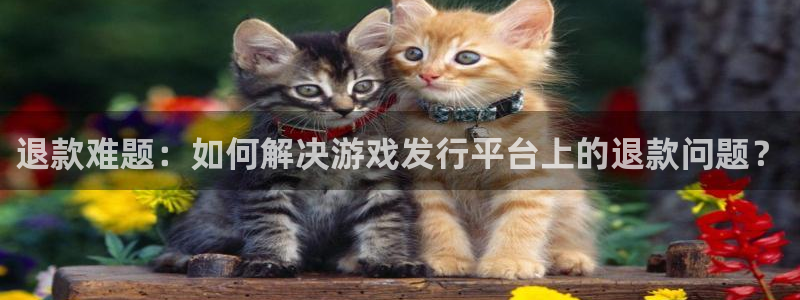 新宝GG官网平台怎么样：退款难题：如何解决游戏发行平台上的退款问题？