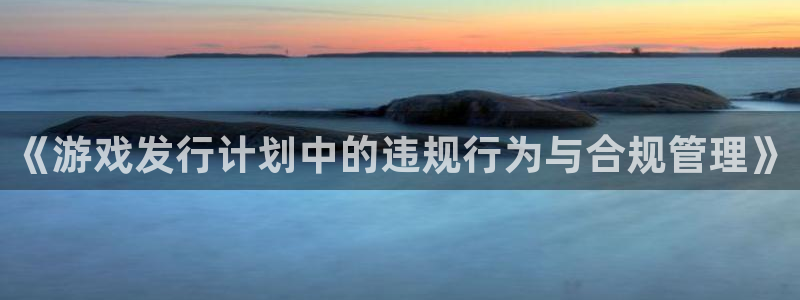 新宝GG仓储中心：《游戏发行计划中的违规行为与合规管理》