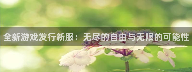 新宝GG官网客服服务：全新游戏发行新服：无尽的自由与无限的可能性