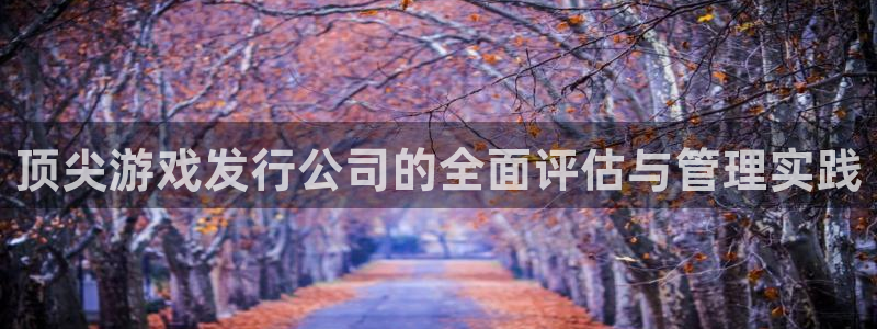 新宝GG官网客服服务电话号码：顶尖游戏发行公司的全面评估与管理实践