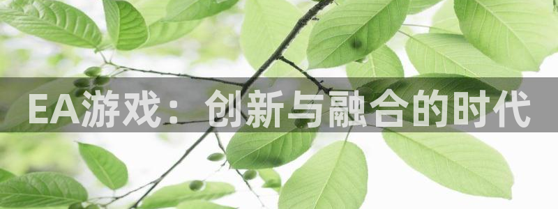 新宝GG官网开户待遇：EA游戏：创新与融合的时代