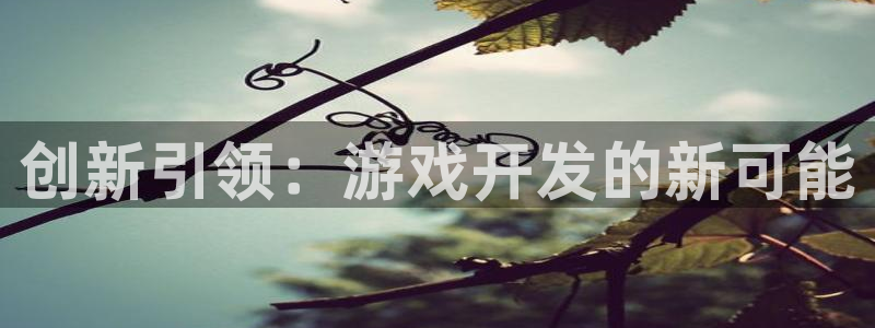 新宝GG官网登录注册账号是什么意思：创新引领：游戏开发的新可能