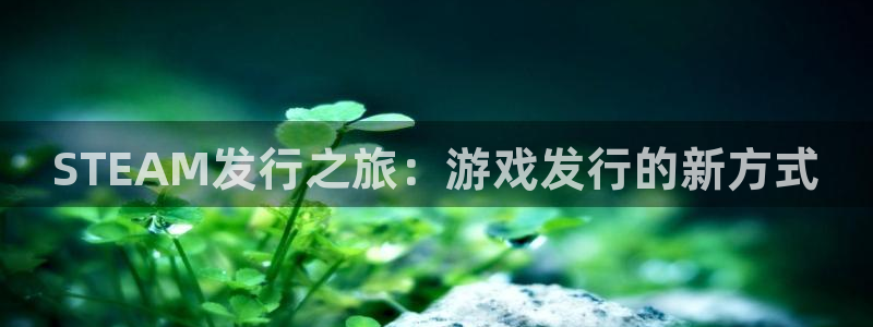 新宝GG子文化游戏