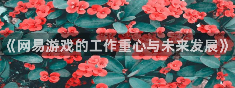 新宝GG官网登录注册账号是什么意思：《网易游戏的工作重心与未来发展》