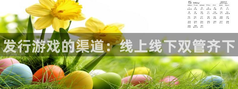 新宝GG官网登录注册账号安全吗：发行游戏的渠道：线上线下双管齐下
