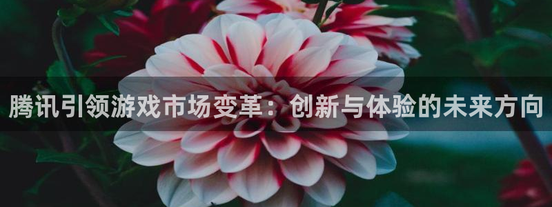 新宝GG官网客服服务电话：腾讯引领游戏市场变革：创新与体验的未来方向