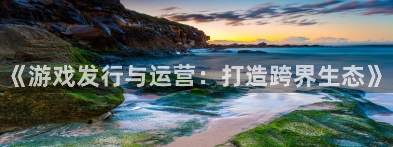 四川新宝GG科技有限公司怎么样：《游戏发行与运营：打造跨界生态》
