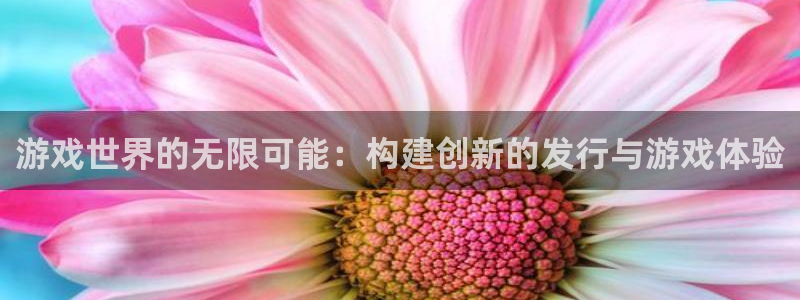 新宝GG官网注册方法视频：游戏世界的无限可能：构建创新的发行与游戏体验