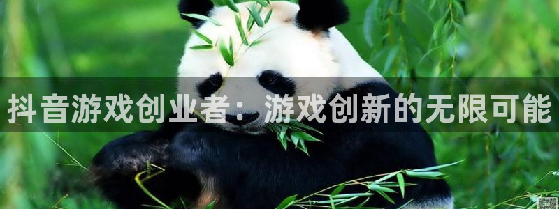 江苏新宝GG智得新材料：抖音游戏创业者：游戏创新的无限可能