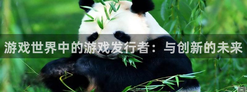 新宝GG超纯啤酒怎么样：游戏世界中的游戏发行者：与创新的未来