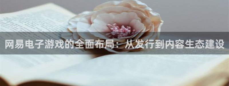 新宝GG官网注册平台怎么样可靠吗：网易电子游戏的全面布局：从发行到内容生态建设