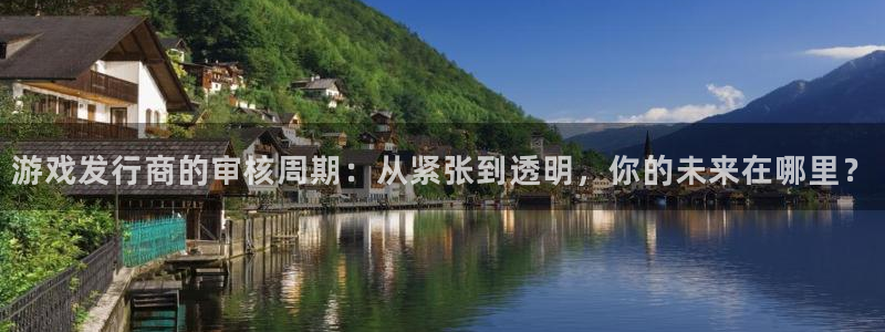 新宝GG运动装有哪些品牌：游戏发行商的审核周期：从紧张到透明，你的未来在哪里？