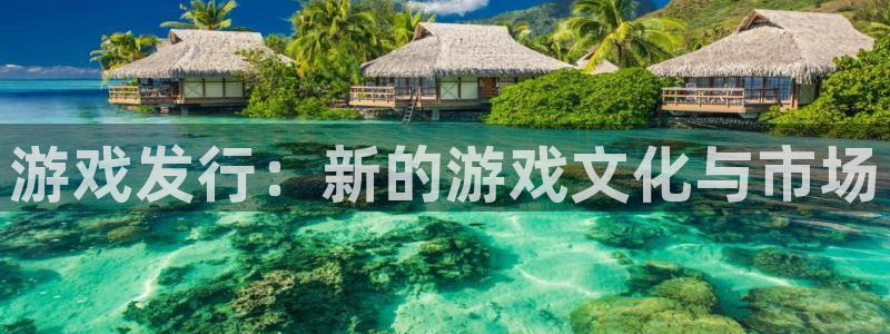 新宝GG官网注册方法视频：游戏发行：新的游戏文化与市场