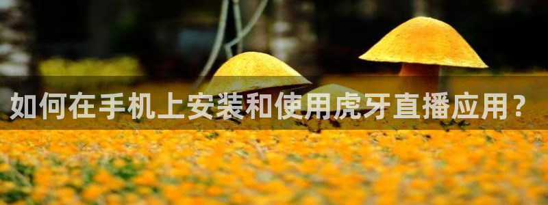 咪咕体育视频直播官网：如何在手机上安装和使用虎牙直播应用？